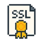 Icon ssl